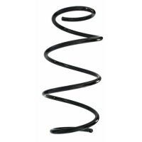Fahrwerksfeder-Set vorne Schraubenfeder 304mm SPIDAN...