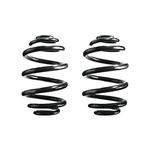 Fahrwerksfeder-Set hinten Schraubenfeder 242mm SPIDAN für BMW 3 (E46)
