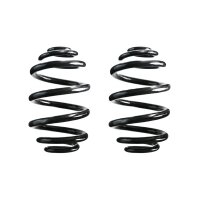 Fahrwerksfeder-Set hinten Schraubenfeder 242mm SPIDAN...