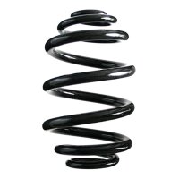 Fahrwerksfedern-Set hinten Schraubenfeder 242mm SPIDAN...