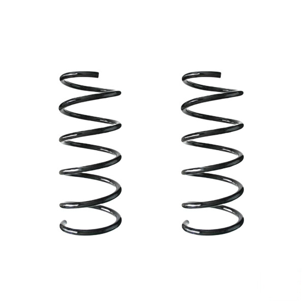 Fahrwerksfedern-Set hinten Schraubenfeder 290mm SPIDAN für u.a. FIAT 500 312