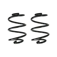 Fahrwerksfeder-Set hinten Schraubenfeder 209mm SPIDAN...