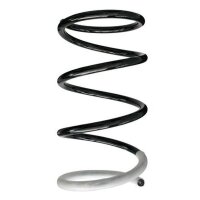 Fahrwerksfeder-Set vorne Schraubenfeder 333mm SPIDAN...