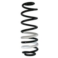 Fahrwerksfeder-Set hinten Schraubenfeder 357mm SPIDAN...