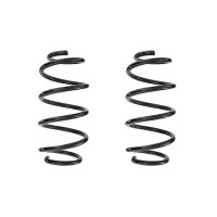 Fahrwerksfeder-Set hinten Schraubenfeder 257mm SPIDAN...