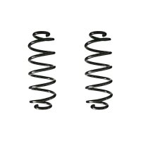 Fahrwerksfeder-Set hinten Schraubenfeder 318mm SPIDAN...