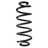 Fahrwerksfeder-Set hinten Schraubenfeder 318mm SPIDAN...