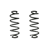 Fahrwerksfedern-Set hinten Schraubenfeder 318mm SPIDAN...