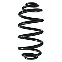 Fahrwerksfeder-Set hinten Schraubenfeder 318mm SPIDAN...