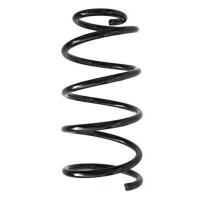 Fahrwerksfeder-Set vorne Schraubenfeder 325mm SPIDAN...