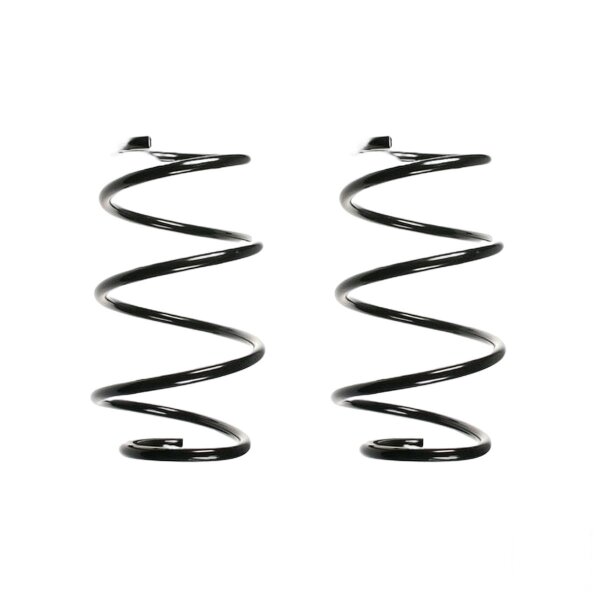 Suspension spring set front coil spring 325mm SPIDAN for BMW 5 E39
