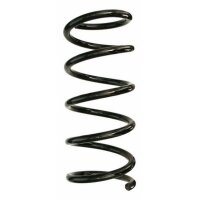 Fahrwerksfeder-Set hinten Schraubenfeder 321mm SPIDAN...