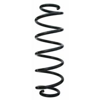 Fahrwerksfeder-Set hinten Schraubenfeder 317mm SPIDAN...