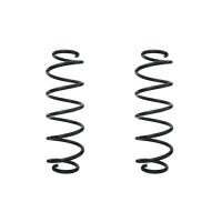 Suspension spring set rear coil spring 317mm SPIDAN for...