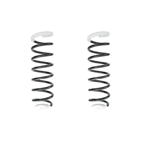 Suspension spring set rear coil spring 316mm SPIDAN for MERCEDES A CLASS W168