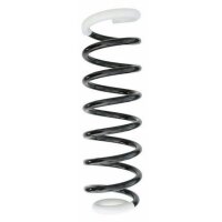 Fahrwerksfeder-Set hinten Schraubenfeder 316mm SPIDAN...