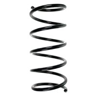 Fahrwerksfedern-Set hinten Schraubenfeder 404mm SPIDAN...