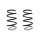 Suspension spring set front coil spring 301mm SPIDAN for RENAULT LAGUNA Coupe