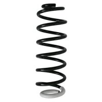 Fahrwerksfeder-Set hinten Schraubenfeder 329mm SPIDAN...