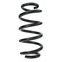 Fahrwerksfeder-Set vorne Schraubenfeder 299mm SPIDAN...