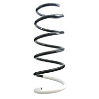 Suspension spring set front coil spring 380mm SPIDAN for...