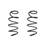 Fahrwerksfedern-Set vorne Schraubenfeder 394mm SPIDAN...