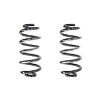 Suspension spring set rear coil spring 293mm SPIDAN for...