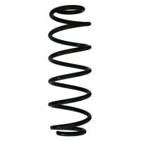 Fahrwerksfeder-Set hinten Schraubenfeder 307mm SPIDAN...