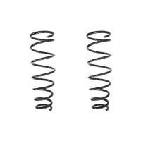 Suspension spring set rear coil spring 360mm SPIDAN for...