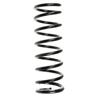 Fahrwerksfedern-Set hinten Schraubenfeder 373mm SPIDAN...