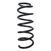 Fahrwerksfeder-Set vorne Schraubenfeder 325mm SPIDAN...