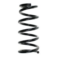 Fahrwerksfeder-Set hinten Schraubenfeder 245mm SPIDAN...