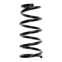 Suspension spring set rear coil spring 245mm SPIDAN for...