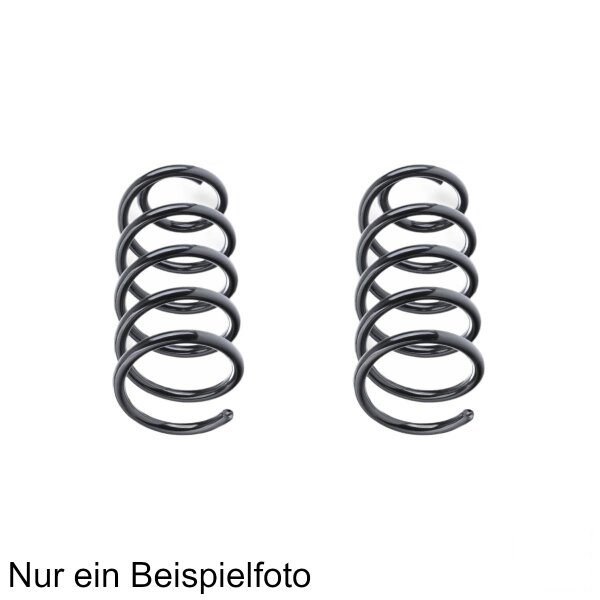 Fahrwerksfeder-Set hinten Schraubenfeder 330mm SPIDAN für MERCEDES E-KLASSE W212