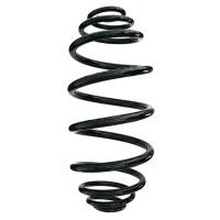 Fahrwerksfedern-Set hinten Schraubenfeder 366mm SPIDAN...