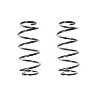Fahrwerksfedern-Set vorne Schraubenfeder 327mm SPIDAN...