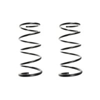 Fahrwerksfedern-Set vorne Schraubenfeder 382mm SPIDAN...