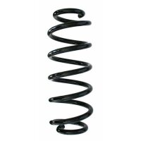 Fahrwerksfeder-Set hinten Schraubenfeder 298mm SPIDAN...
