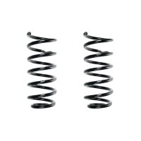 Suspension spring set rear coil spring 307mm SPIDAN for...