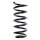 Fahrwerksfeder-Set hinten Schraubenfeder 307mm SPIDAN für AUDI A6 C5