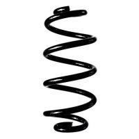 Fahrwerksfeder-Set hinten Schraubenfeder 250mm SPIDAN...
