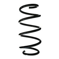 Fahrwerksfeder-Set vorne Schraubenfeder 317mm SPIDAN...