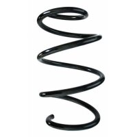 Fahrwerksfeder-Set vorne Schraubenfeder 290mm SPIDAN...