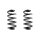 Fahrwerksfeder-Set hinten Schraubenfeder 249mm SPIDAN für AUDI A4 B6