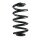 Fahrwerksfeder-Set hinten Schraubenfeder 249mm SPIDAN für AUDI A4 B6