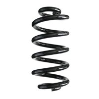 Fahrwerksfedern-Set hinten Schraubenfeder 249mm SPIDAN...