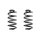 Fahrwerksfeder-Set hinten Schraubenfeder 249mm SPIDAN für AUDI A4 B7