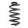Fahrwerksfeder-Set hinten Schraubenfeder 249mm SPIDAN für AUDI A4 B7