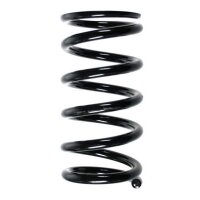 Fahrwerksfeder-Set hinten Schraubenfeder 273mm SPIDAN...