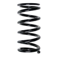 Fahrwerksfedern-Set hinten Schraubenfeder 273mm SPIDAN...